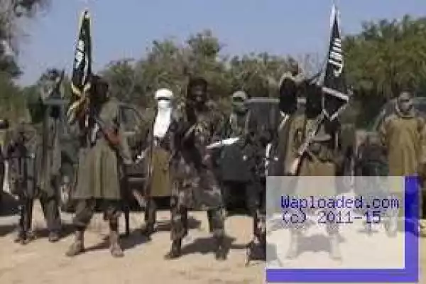 30 killed in Boko Haram attack on three villages in Borno